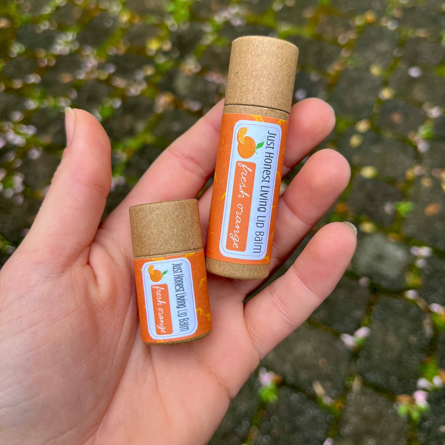 Compostable Lip Balms