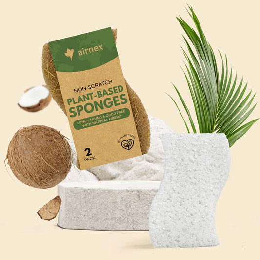 Plant-Based Dish Sponges - 2 Pack